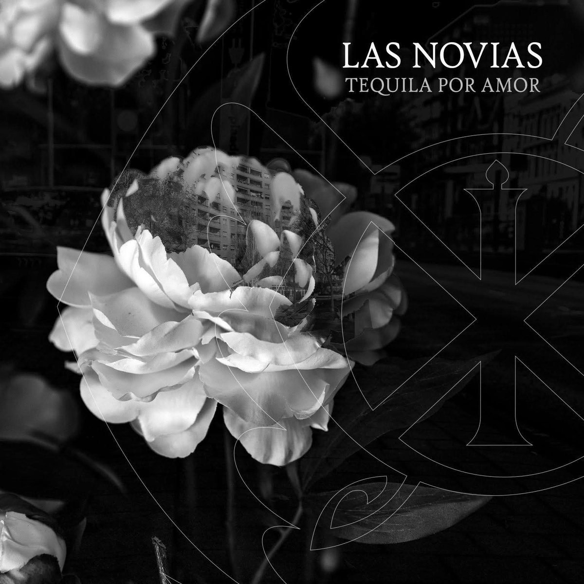 Las Novias tweet media