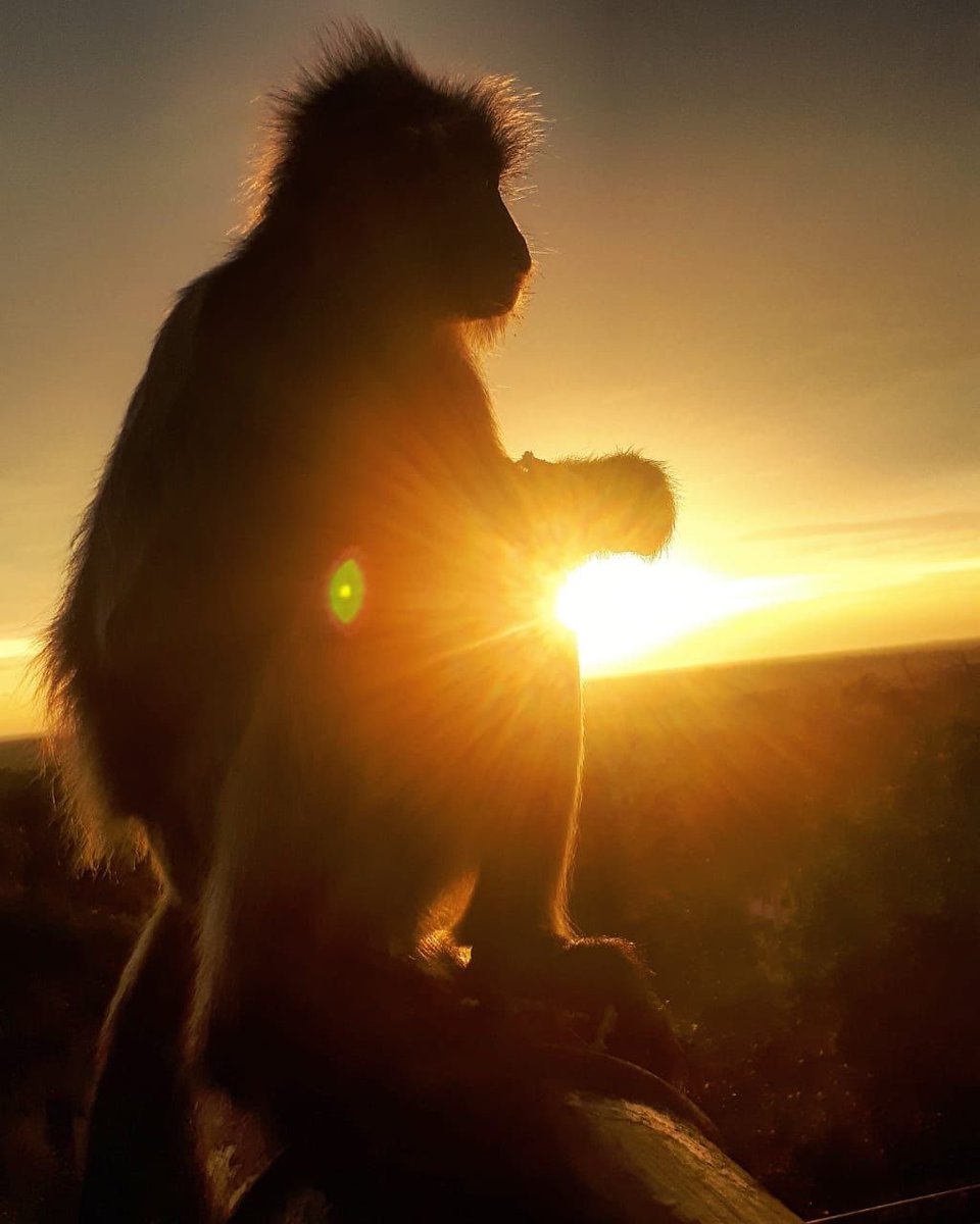 Rehina⭐️ tweet media