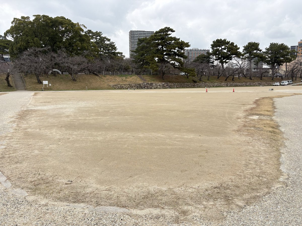 ももかん* tweet media