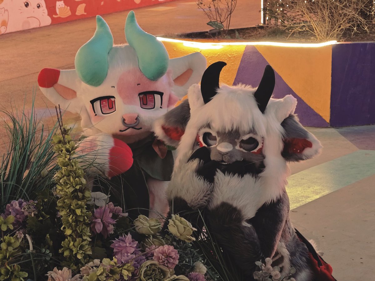 Memoooo_2000's tweet photo. 🍓&amp;🐏
🐏:@HundredTomb 
🧵→🍓:@SeijiOno2

#FursuitFriday  #furry https://t.co/vD0e3Fse5f