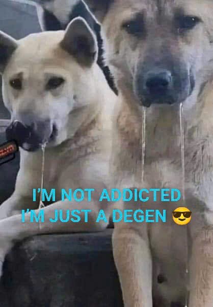 Degen mode: ON 😎
#Degen <a href="/degentokenbase/">Degen 🎩</a>
