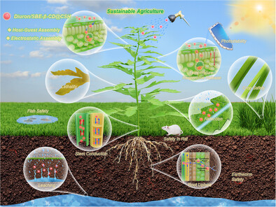 Aggregate tweet media