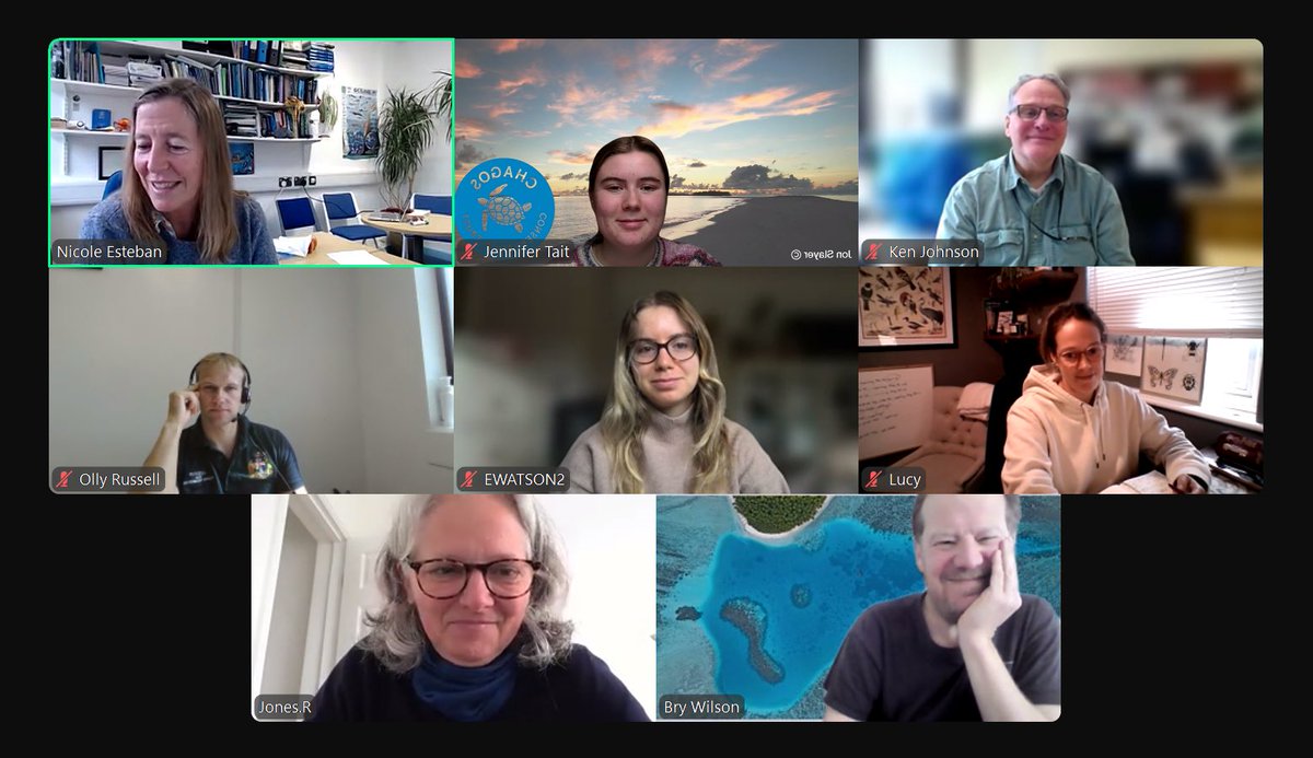 Chagos Conservation Trust tweet media