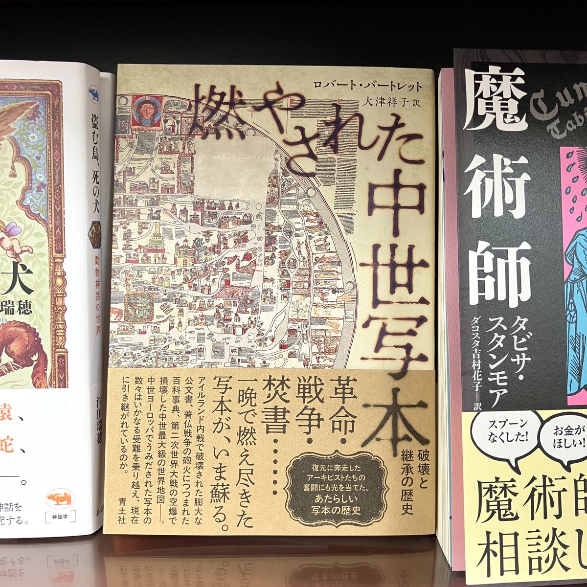 ロバート・バートレット／大津祥子 訳 『燃やされた中世写本』（青土社