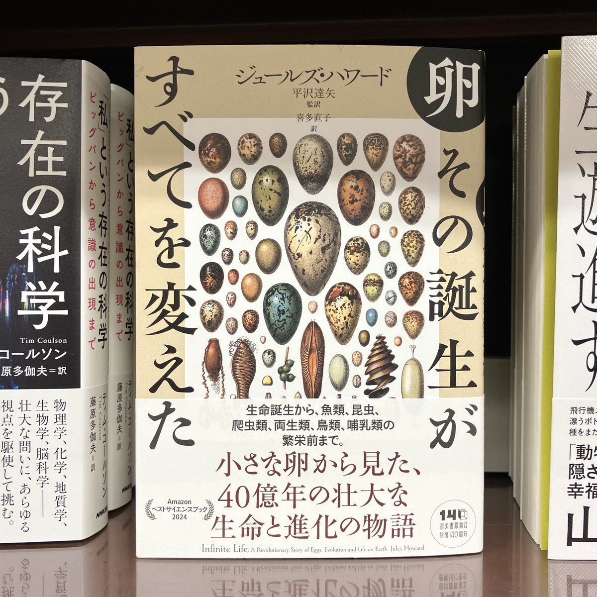 ジュールズ・ハワード／平沢達矢 監訳／喜多直子 訳 『卵 その誕生が