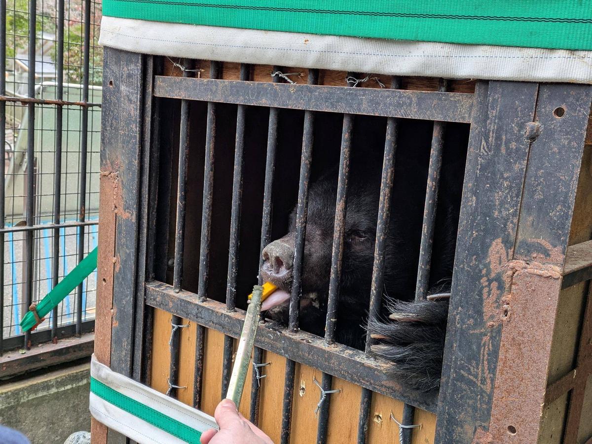 さっちゃん (@Sacchan31) / Posts / X