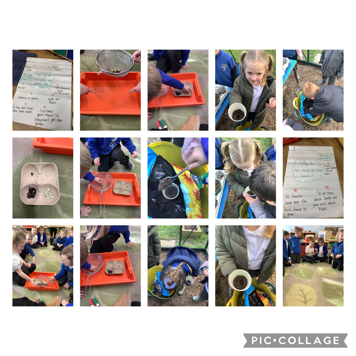 HeatherPrimarySchool tweet media