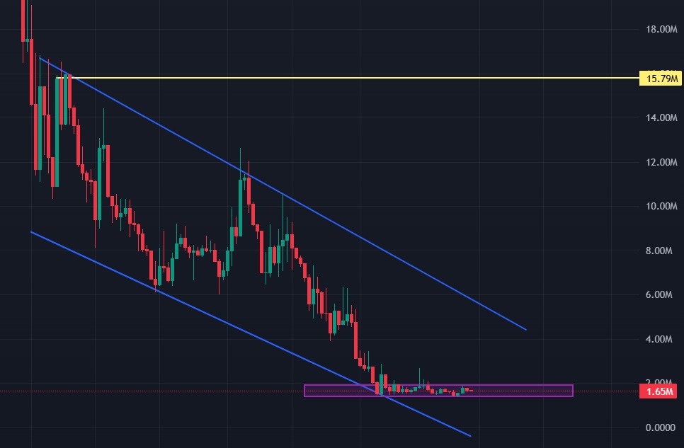 Anonymous tweet media