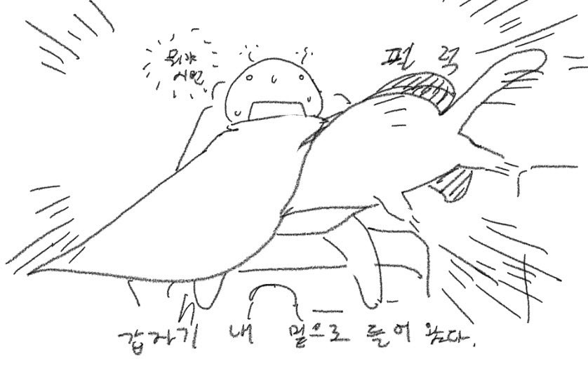 화량 tweet media