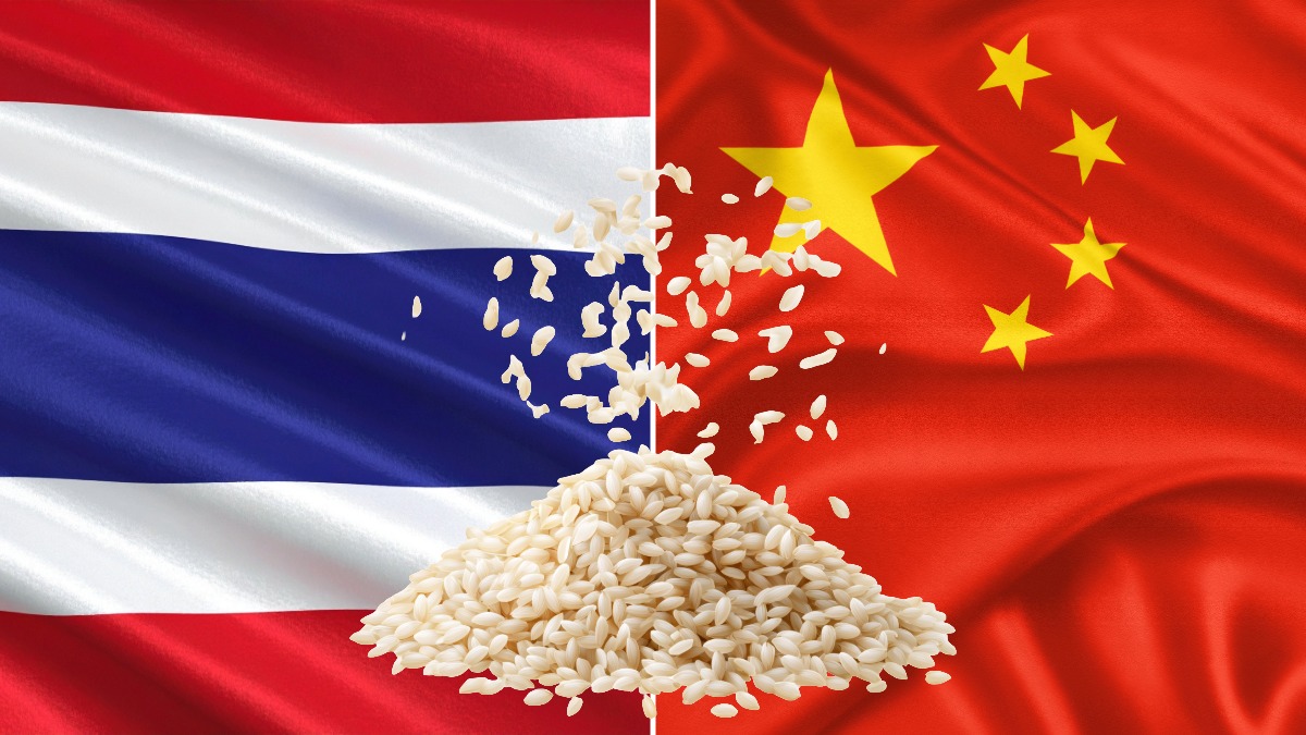 Thailand to begin 40,000-tonne G-to-G rice shipments to China in February

Thailand will begin delivering 40,000 tonnes of rice to China under a government-to-government (G-to-G) agreement starting in February 2026, Acting Commerce Minister Suphajee Suthumpun said, adding that
