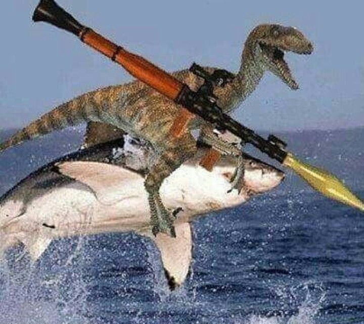 insane poses tweet media