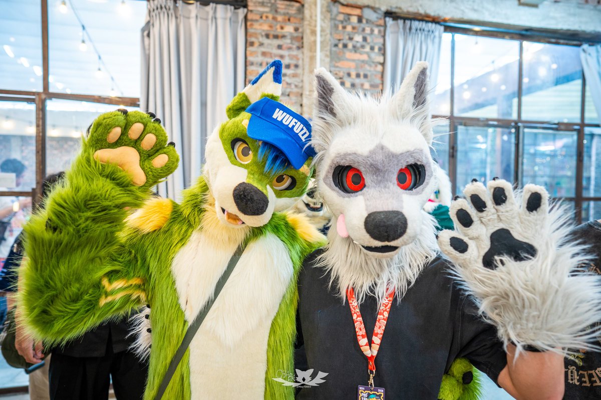 Wufuzz ➡️ ThaiTails 🇹🇭 tweet media