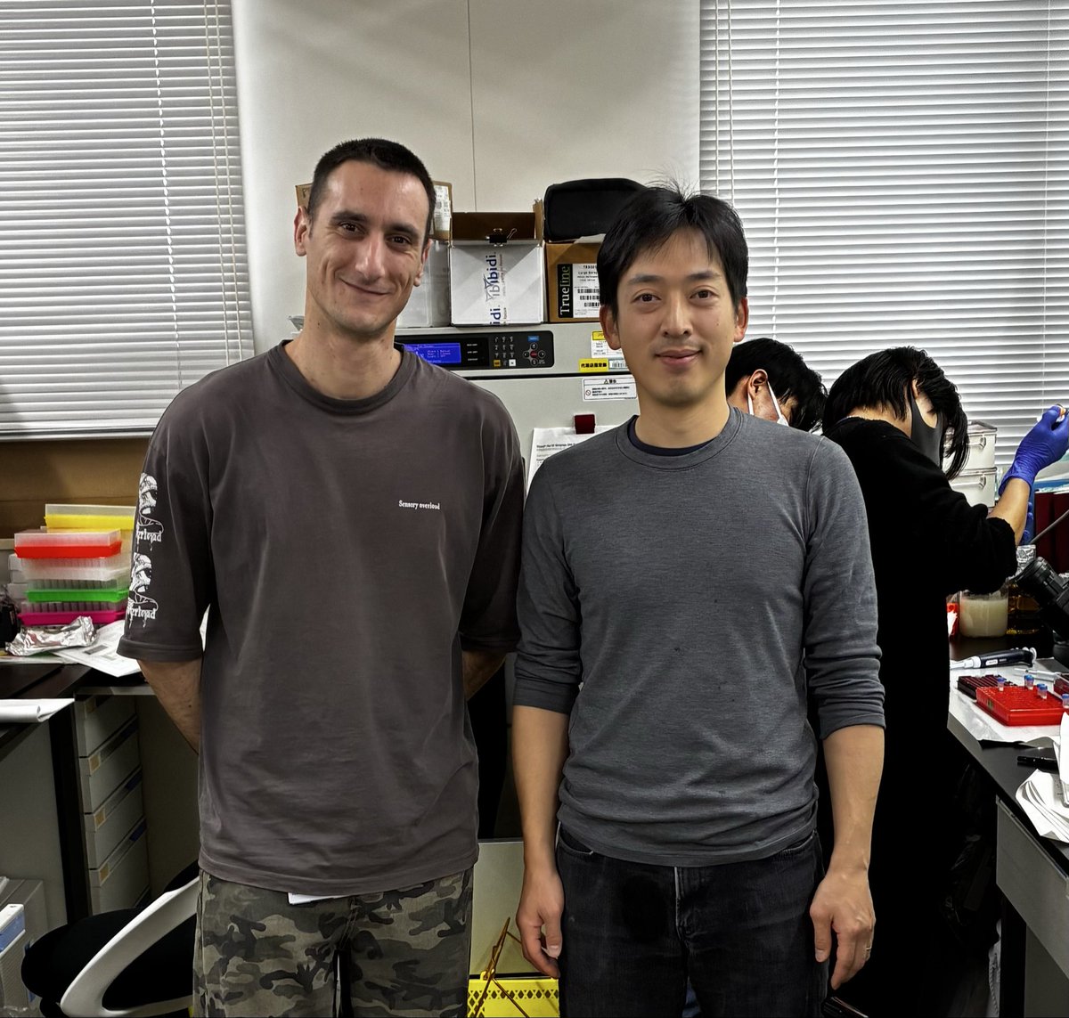 Naoyoshi KUMAKURA 熊倉 直祐 tweet media