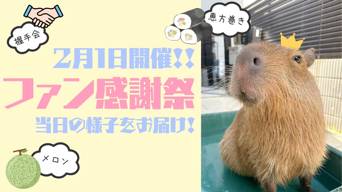 カピヴィレッジYouTube tweet media