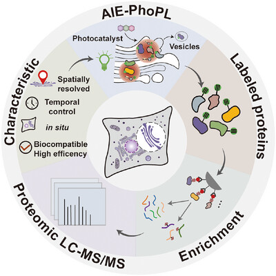 Aggregate tweet media