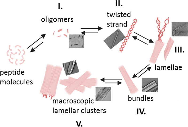 Aggregate tweet media