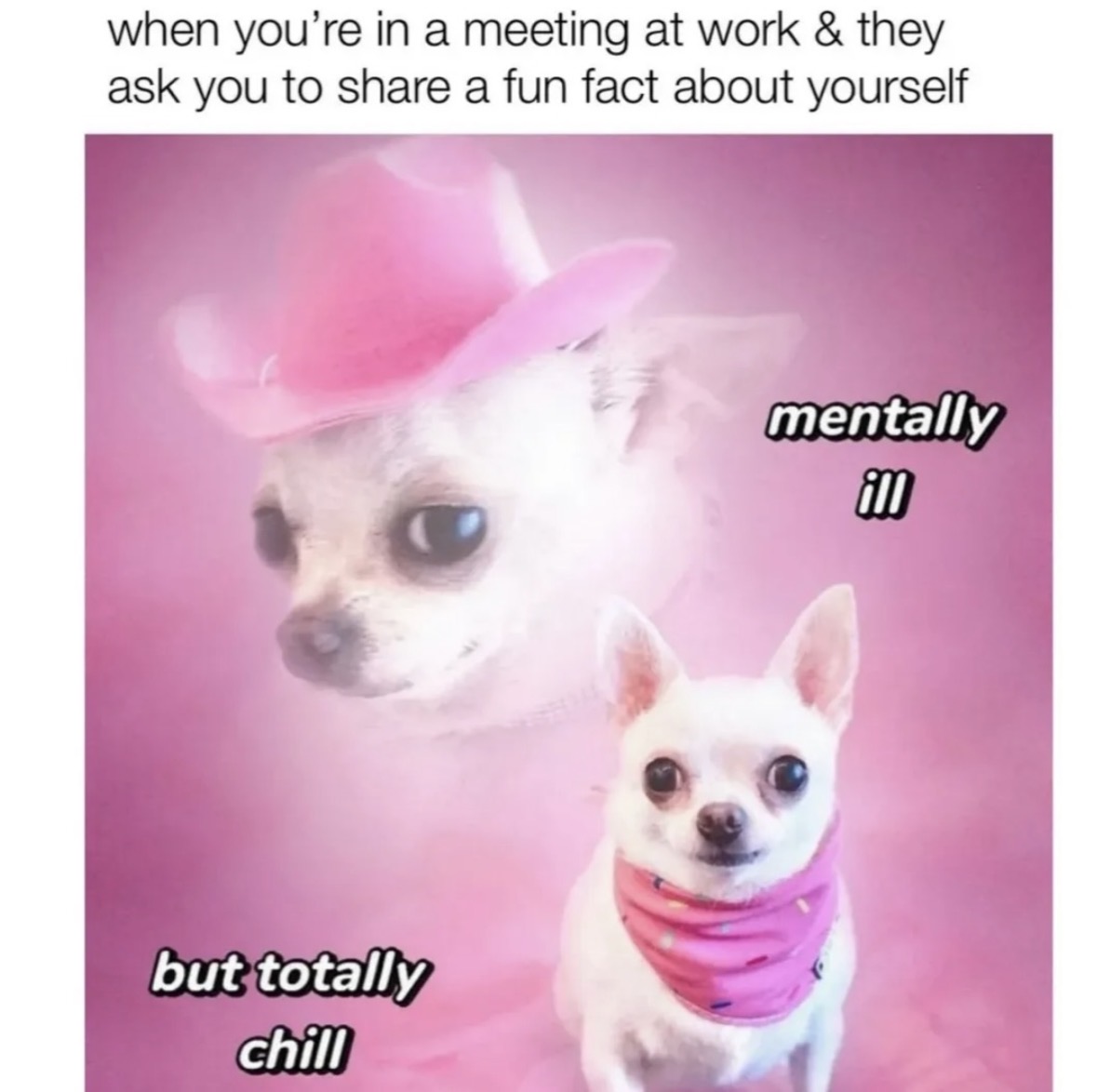 Respectful Memes (@respectfulmemes) on Twitter photo 