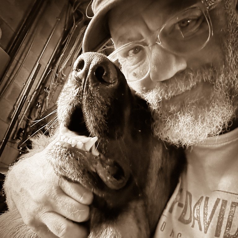 The Original Grey Beard Biker™ (Michael) tweet media