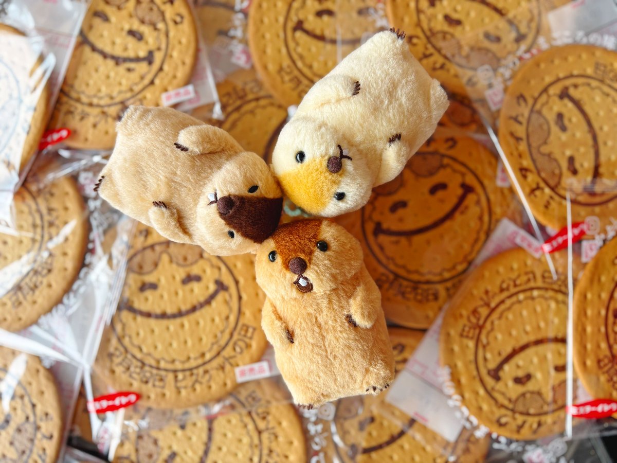 アミューズ AMUFUN【公式】 (@AMUSE_japan) / Posts / X