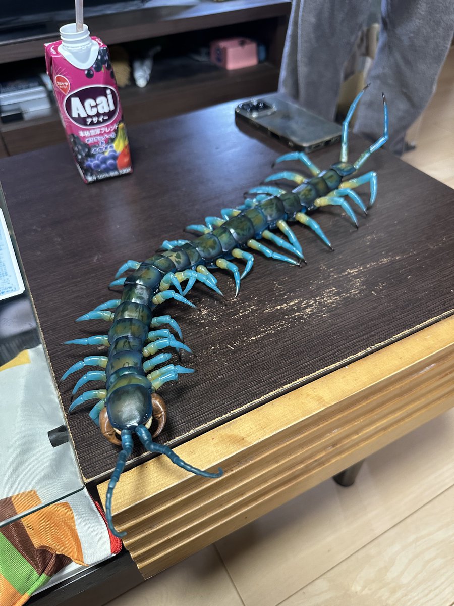 リュウジンオオムカデきた！！！！！

デカい！！！
カッコいい！！！！
そしてキモい！！！！

すんごい大満足！！！！
 #いきもの大図鑑