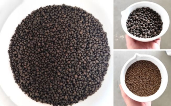 IPac. Acuicultura tweet media