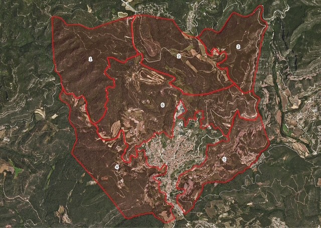 Aj.StFeliuCodines tweet media