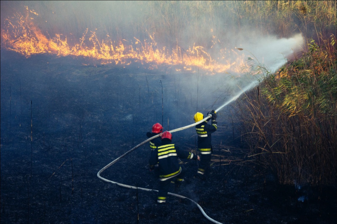 AdaptiveGreece tweet media