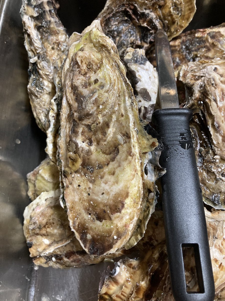 OtotoDiningBou (@bouzbou) / Posts / X