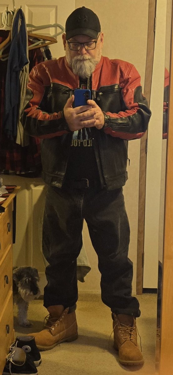 allamericanbear tweet media