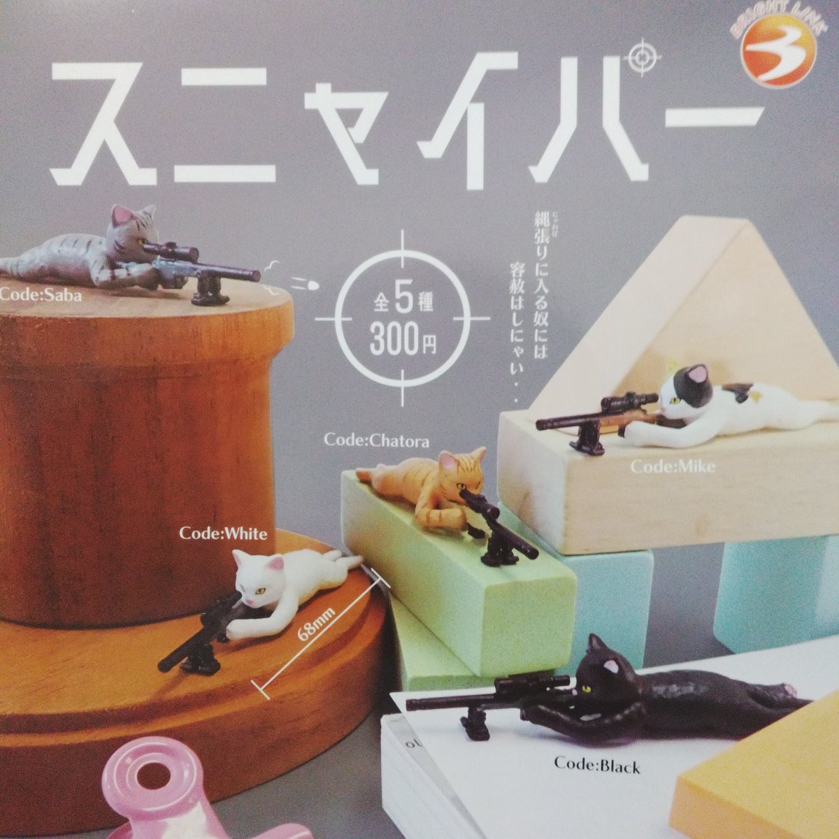 caprak_togoshig's tweet image. 2026年2月27日　カプセル楽局戸越銀座店
✨新入荷情報✨

💊うちの子のけだまだま 猫のけだまだま2
💊ひっくりかえすと虫歯になるはにまるず
💊スニャイパー

#ガチャ #扭蛋機 #capsuletoy #가챠 #戸越銀座