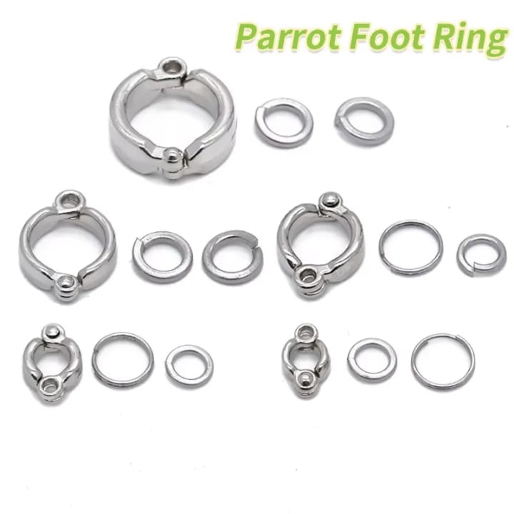 pets_kerala's tweet photo. Alloy bird leg clip for all types of exotic birds available for sale please contact 9747303134🦜🦜🦜 https://t.co/oHO8d342JP