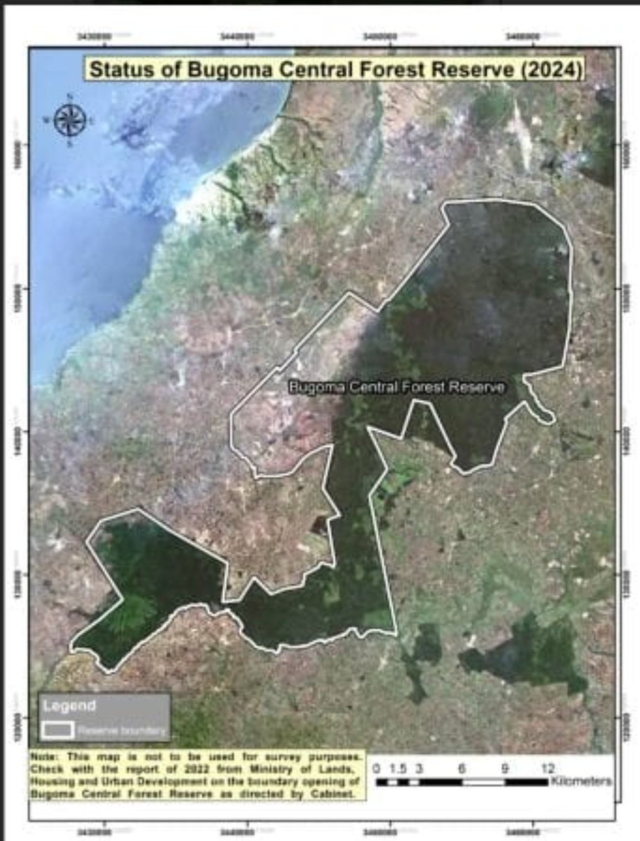 Mayor Aggrey Akiiki tweet media