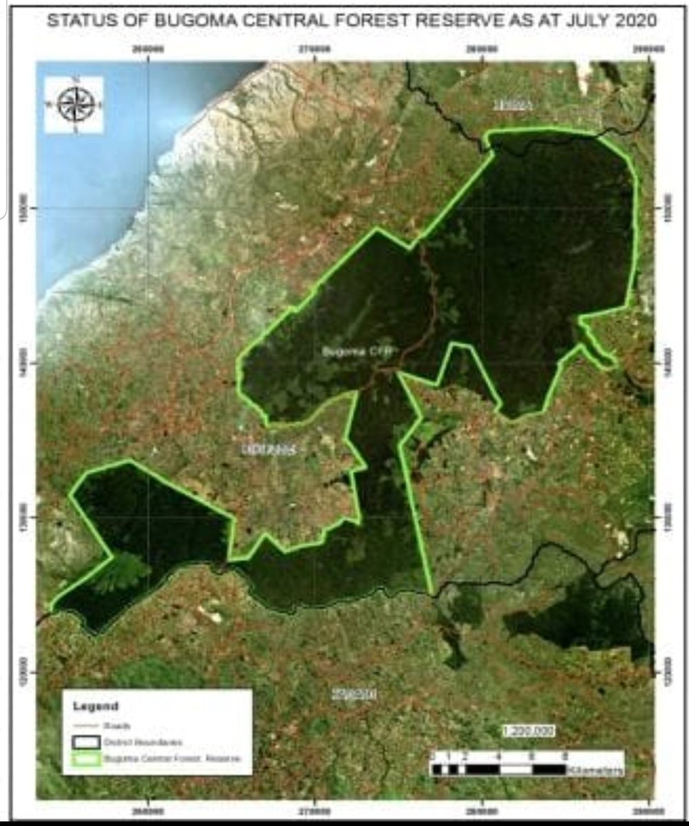 Mayor Aggrey Akiiki tweet media