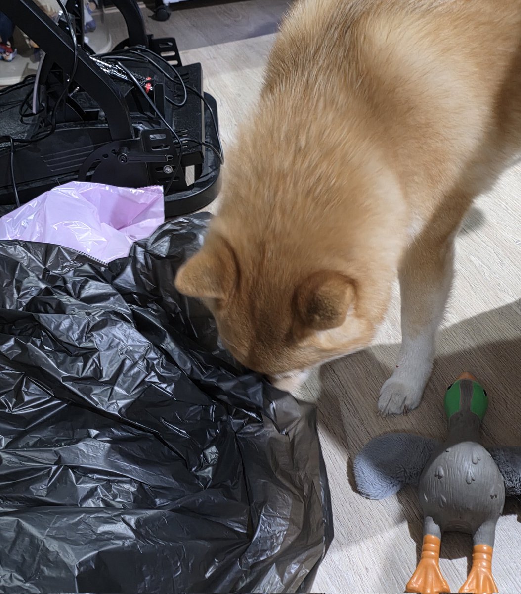 Sisira Hydrangea🌿🔮 Pixela S tweet media