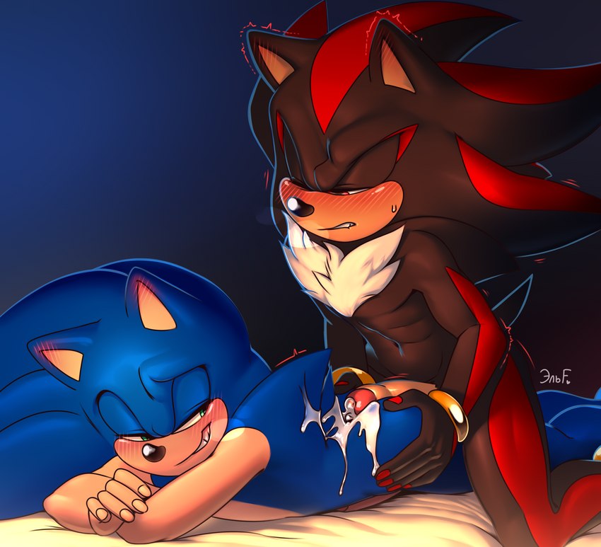 Shadow the Hedgehog tweet media