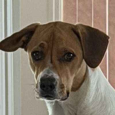 #NewProfilePic