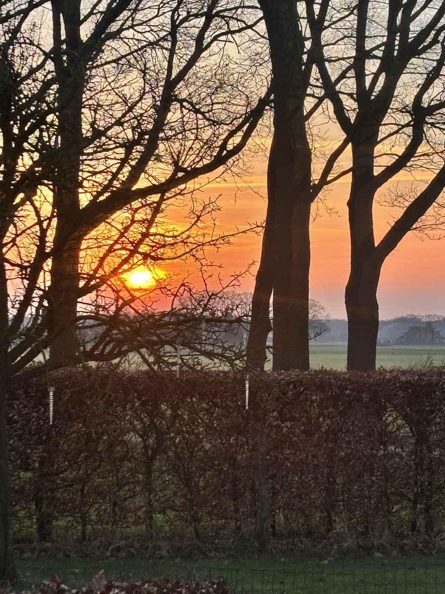 Bert Kleine Schaars tweet media