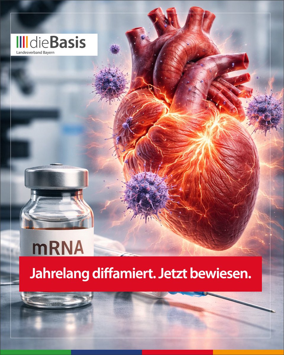 dieBasis Bayern tweet media