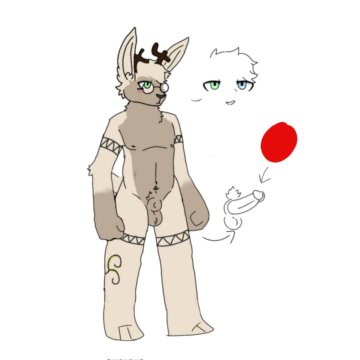 bugnerd 🇧🇷 tweet media