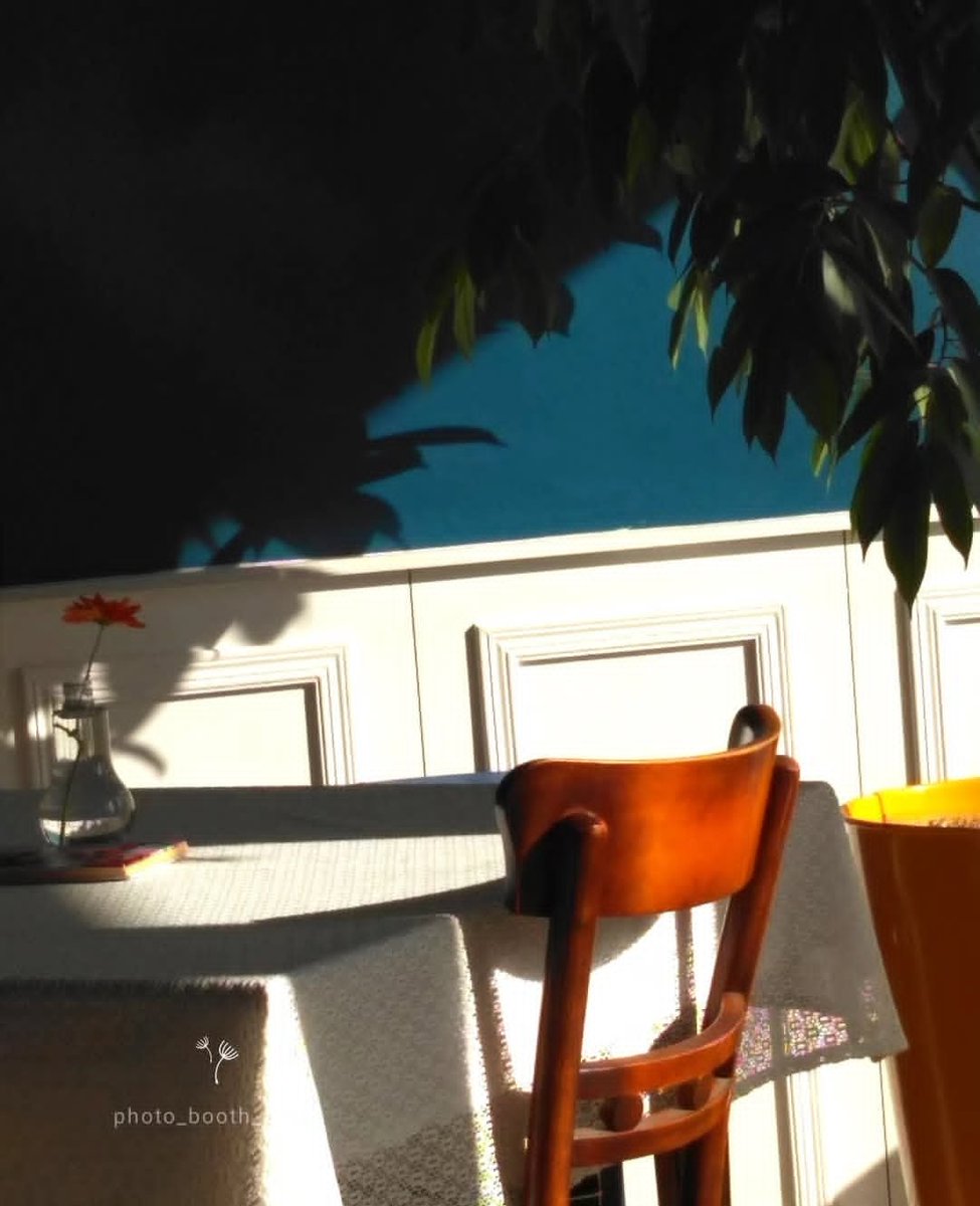 ManOCompiler tweet media