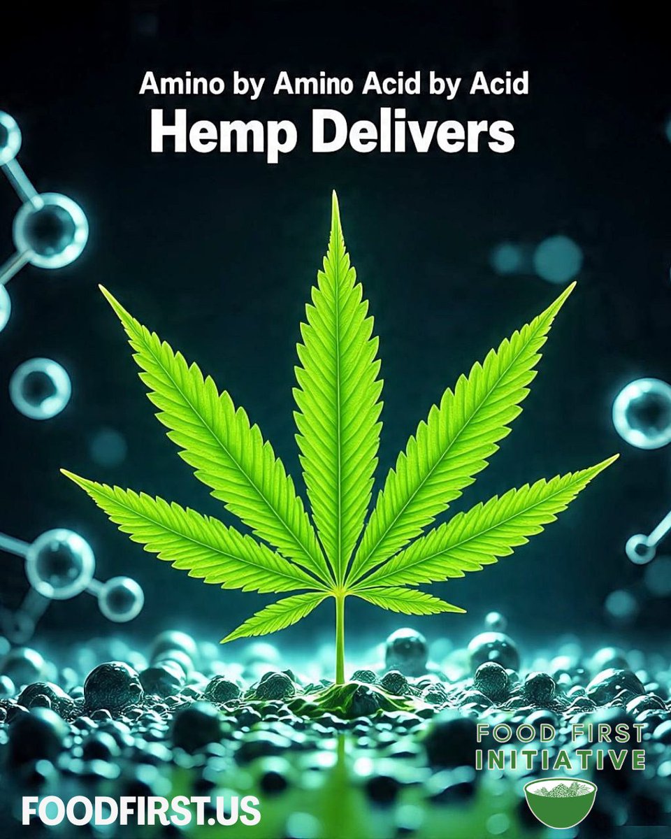 chha2020's tweet image. We know this plant offers foundational elements, delivering so much potential. It's on us to ensure our policies deliver justice, fair access, and opportunity for every community. Let's build a system where everyone can thrive. #PlantPower #DescheduleCannabis #RepealCannabis