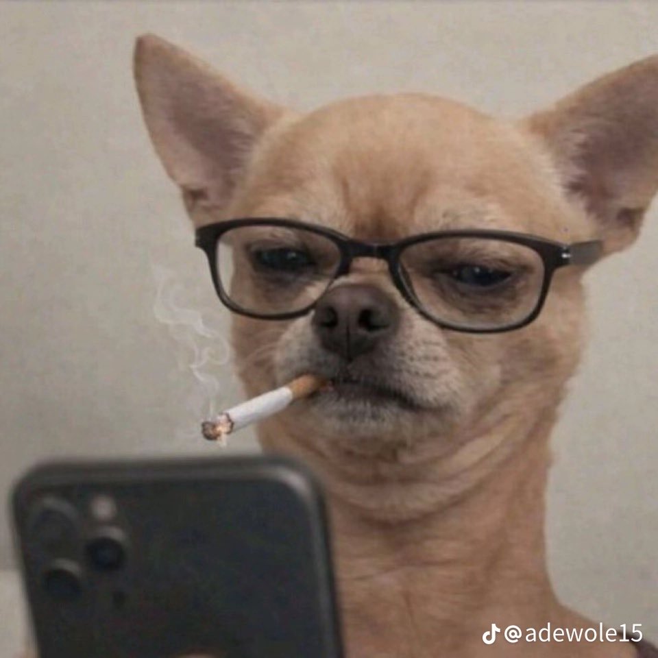 How many years will it take me to gain 1k followers 🙏🏾
I’m still active please follow me and I will follow back and engage