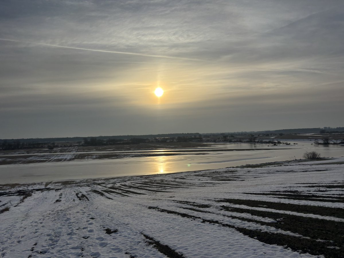 MeteoinfoLMOSPL's tweet photo. Jeszcze zmrożone rozlewisko Narwi o poranku ❄️
27.02.2026 r.
#rozlewisko #lód #zima #luty https://t.co/cUo2S5gxac