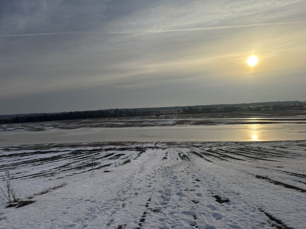 MeteoinfoLMOSPL's tweet photo. Jeszcze zmrożone rozlewisko Narwi o poranku ❄️
27.02.2026 r.
#rozlewisko #lód #zima #luty https://t.co/cUo2S5gxac