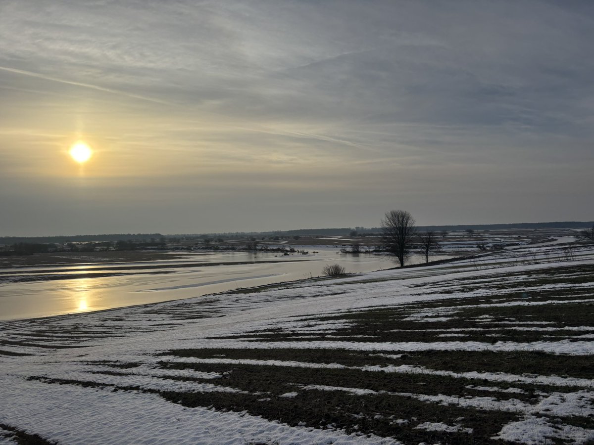 MeteoinfoLMOSPL's tweet photo. Jeszcze zmrożone rozlewisko Narwi o poranku ❄️
27.02.2026 r.
#rozlewisko #lód #zima #luty https://t.co/cUo2S5gxac