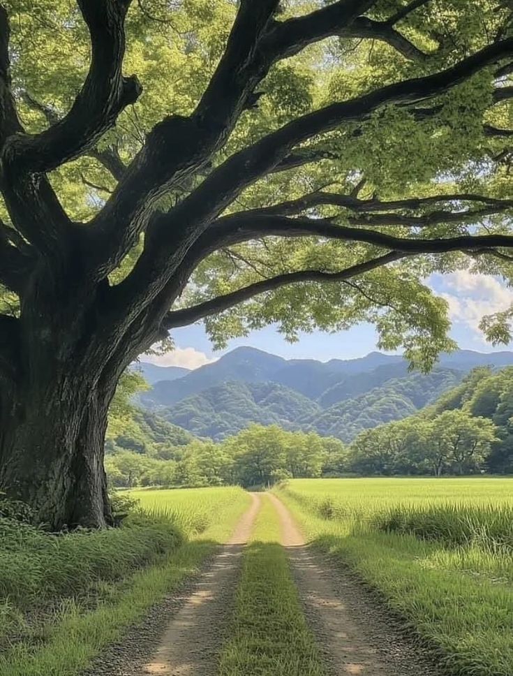 NaturalEye78321's tweet photo. Wonju, South Korea 🇰🇷 https://t.co/MV2XNGzm3B