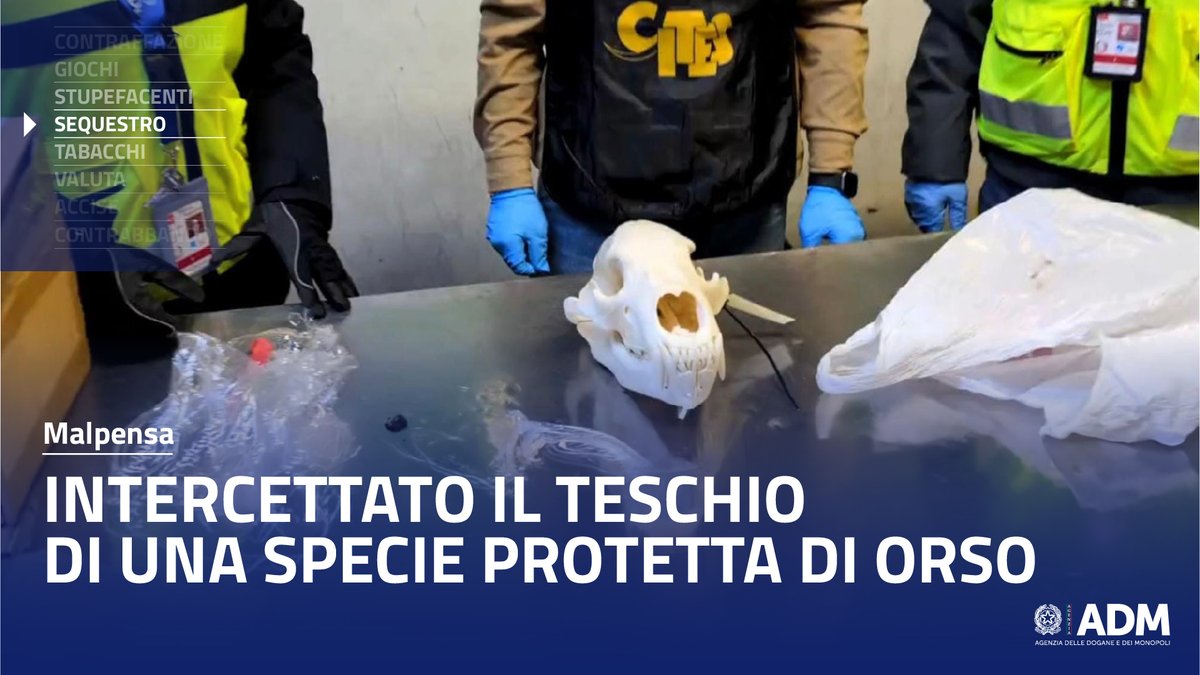 Agenzia Dogane e Monopoli-ADM tweet media