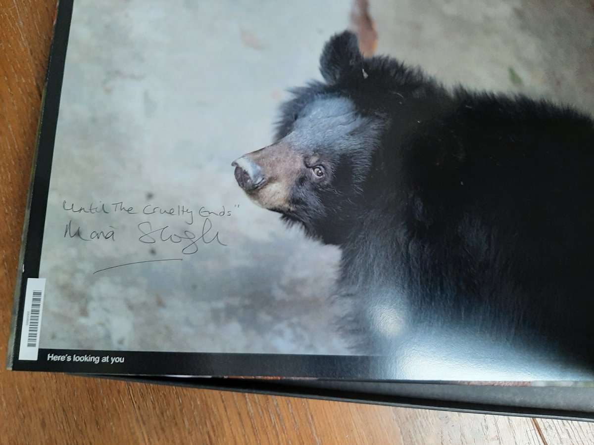 lynne chitty tweet media