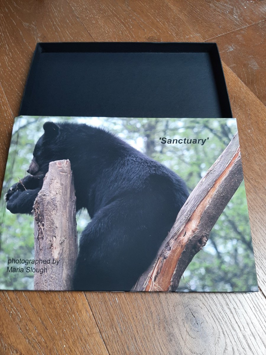 lynne chitty tweet media