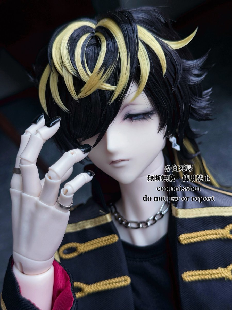 白死蝶 tweet media